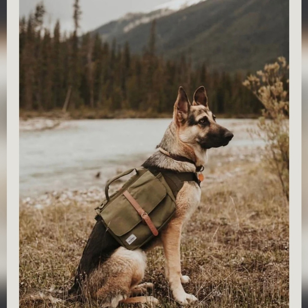 Wolf Republic New Leather And Canvas Dog Backpack Ranger Backpack Large